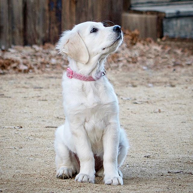 Conclusion (Image Credits: Flickr)