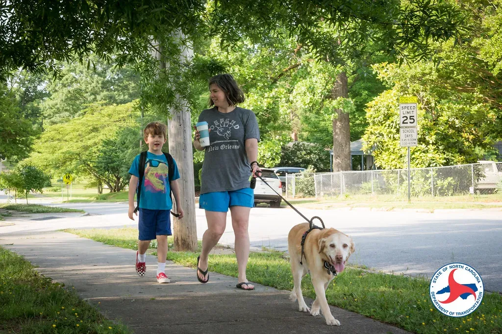 The Route to Their Favorite Park (Image Credits: Flickr)