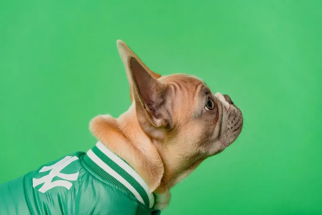 #11 - Sports Night, Game Day, and Party Prep (Image Credits: Unsplash)