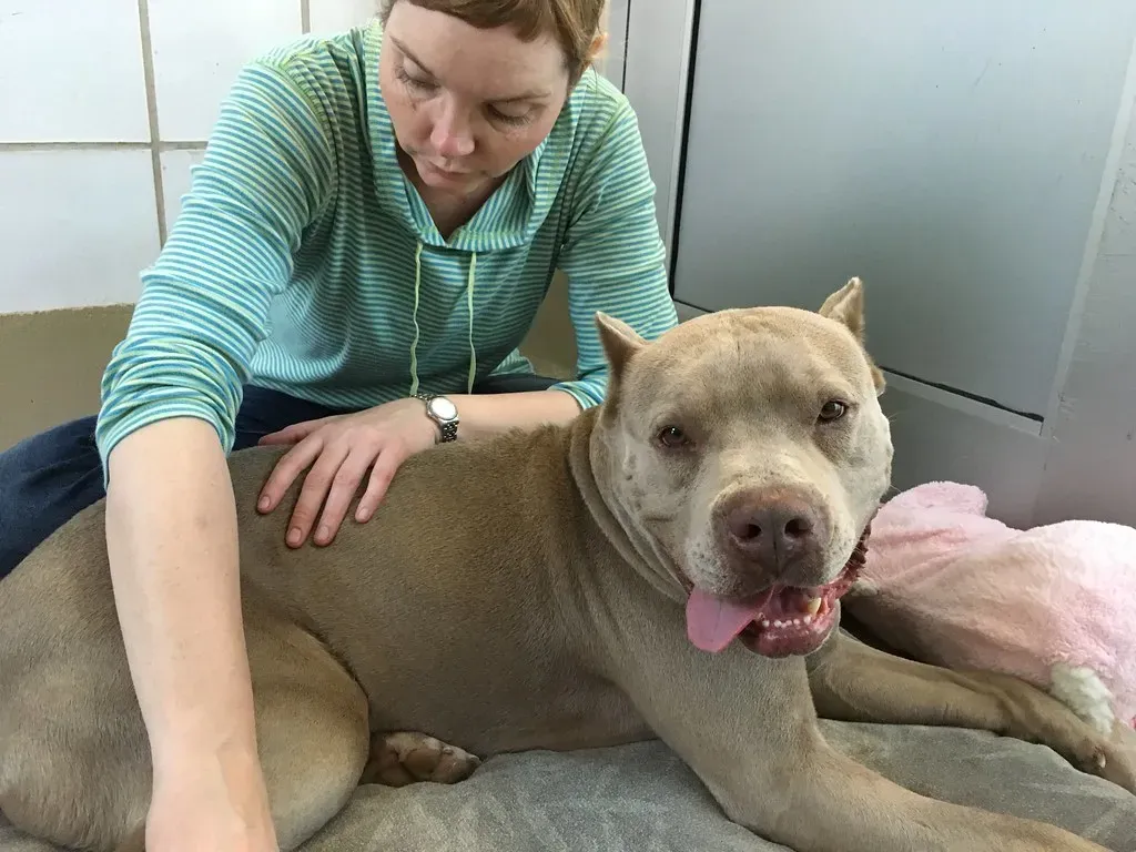 Exercise 6: Gentle Massage for Circulation and Comfort (germanny, Flickr, CC BY-SA 2.0)