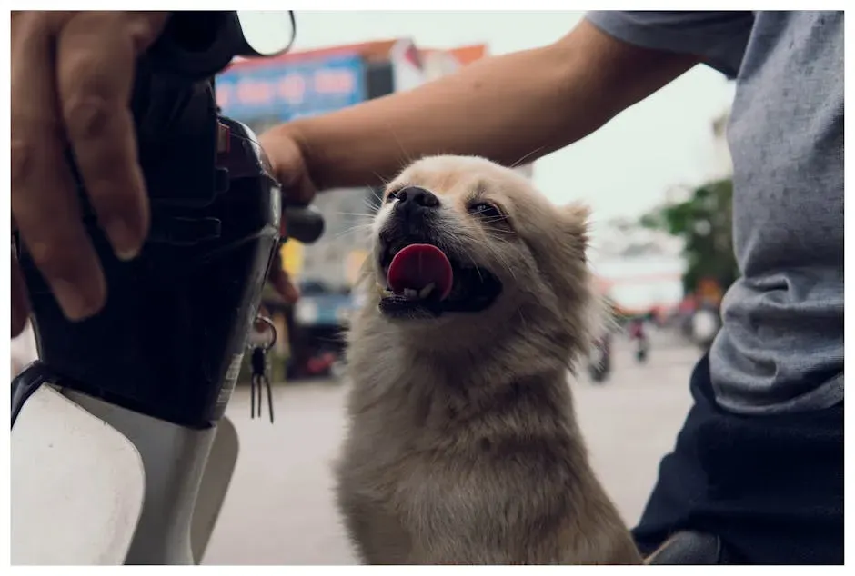 6. When You're About to Leave the House (Image Credits: Pexels)