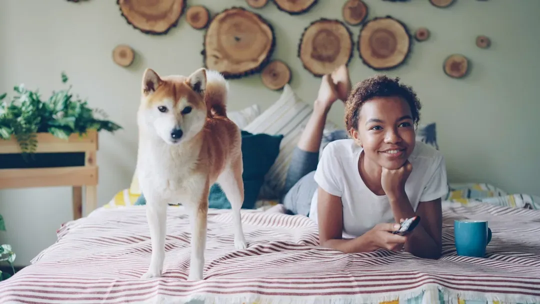 Dogs Really Do Have Strong Opinions About What You Watch (Image Credits: Unsplash)