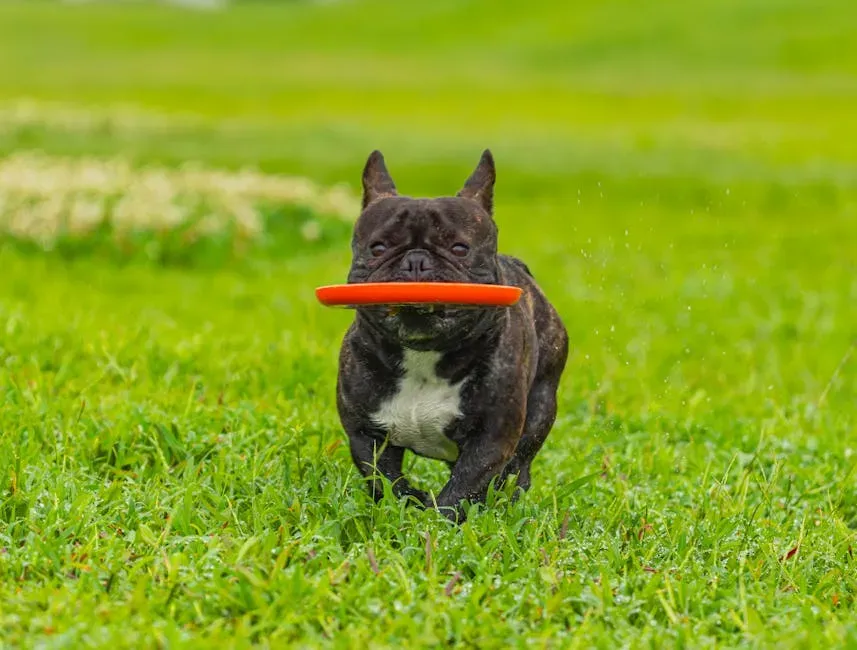 7. Exercise Thoughtfully - Not Excessively (Image Credits: Pexels)