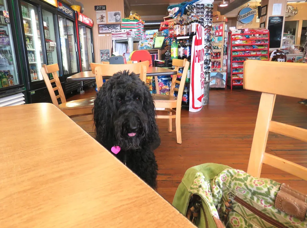 Salmon: Omega-3 Goodness (Image Credits: Flickr)