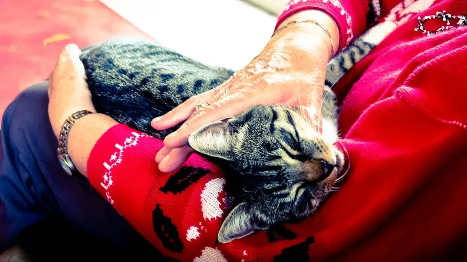 Purring When You're Near (Image Credits: Pexels)