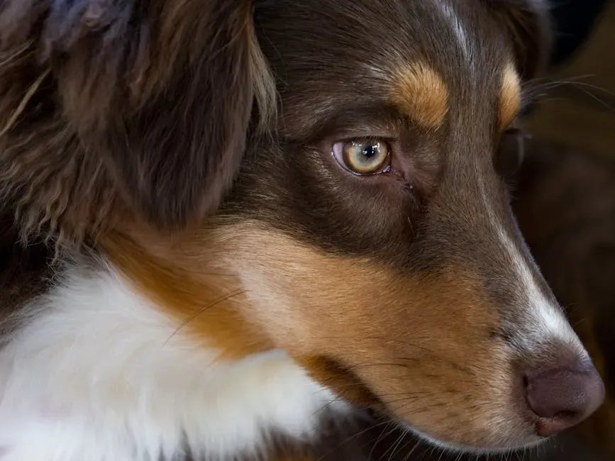#3: Science Confirms That This Gaze Actually Bonds You Chemically (Image Credits: Pexels)