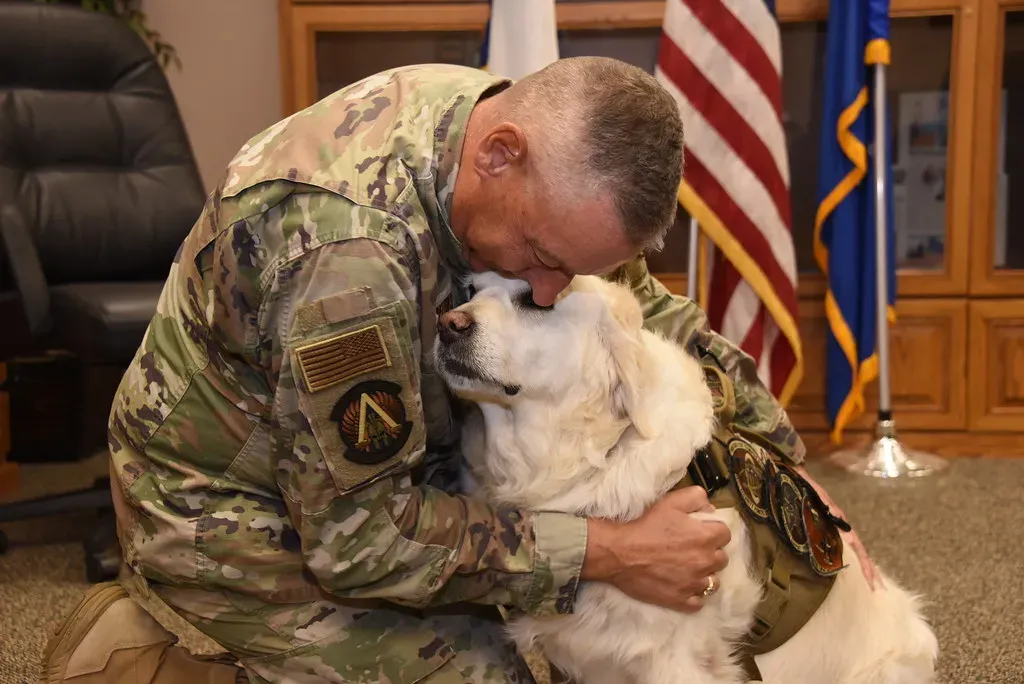 11. The Gift You Give a Dog Is Just as Powerful (The National Guard, Flickr, CC BY 2.0)
