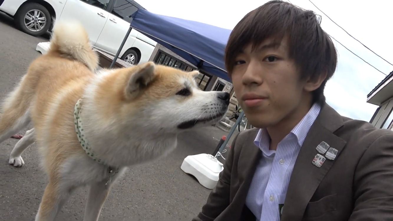 Akita: The Loyal One-Person Dog (Image Credits: Wikimedia)