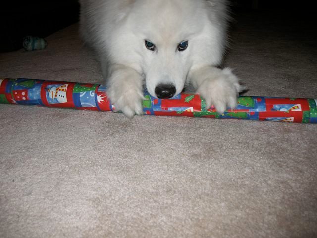 Mental Stimulation Through Unwrapping Challenges (Image Credits: Flickr)