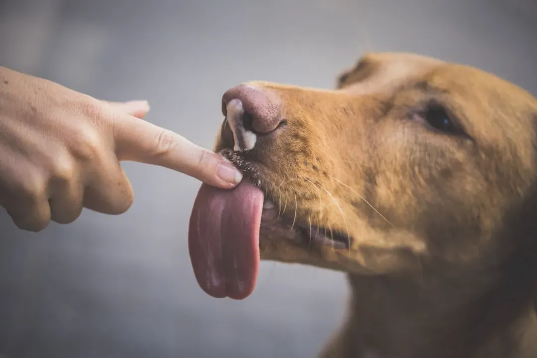 A Quiet Reminder of Shared Connection (Image Credits: Unsplash)