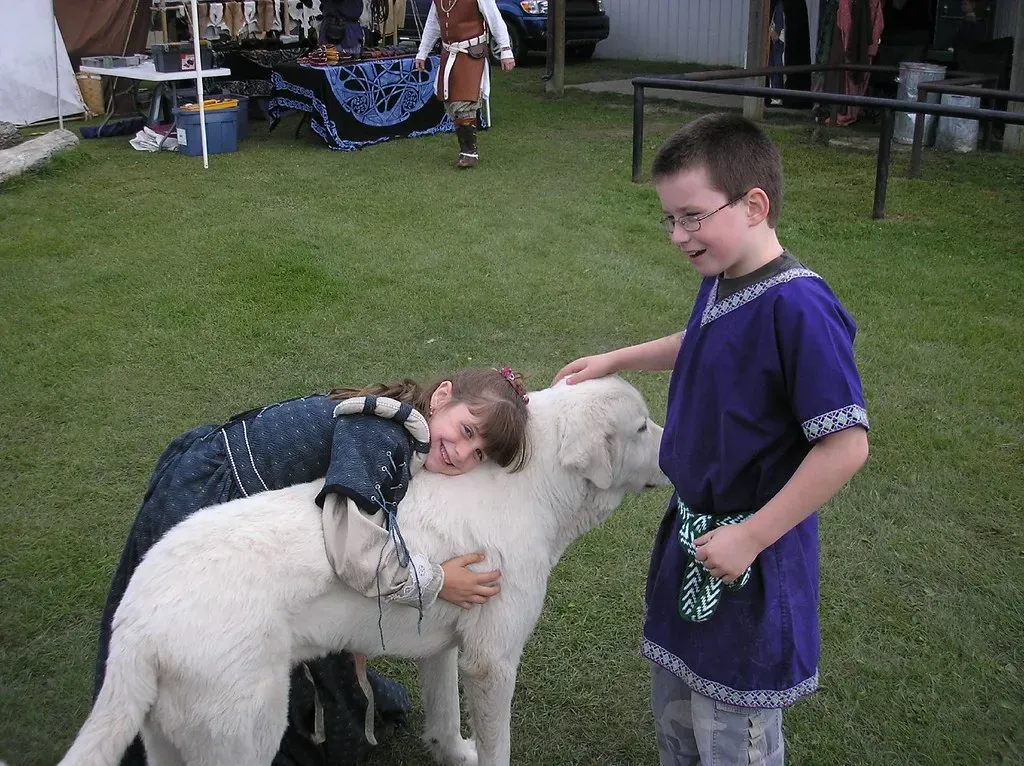 You Can Fix This - and Your Family Can Thrive (Falashad, Flickr, CC BY 2.0)