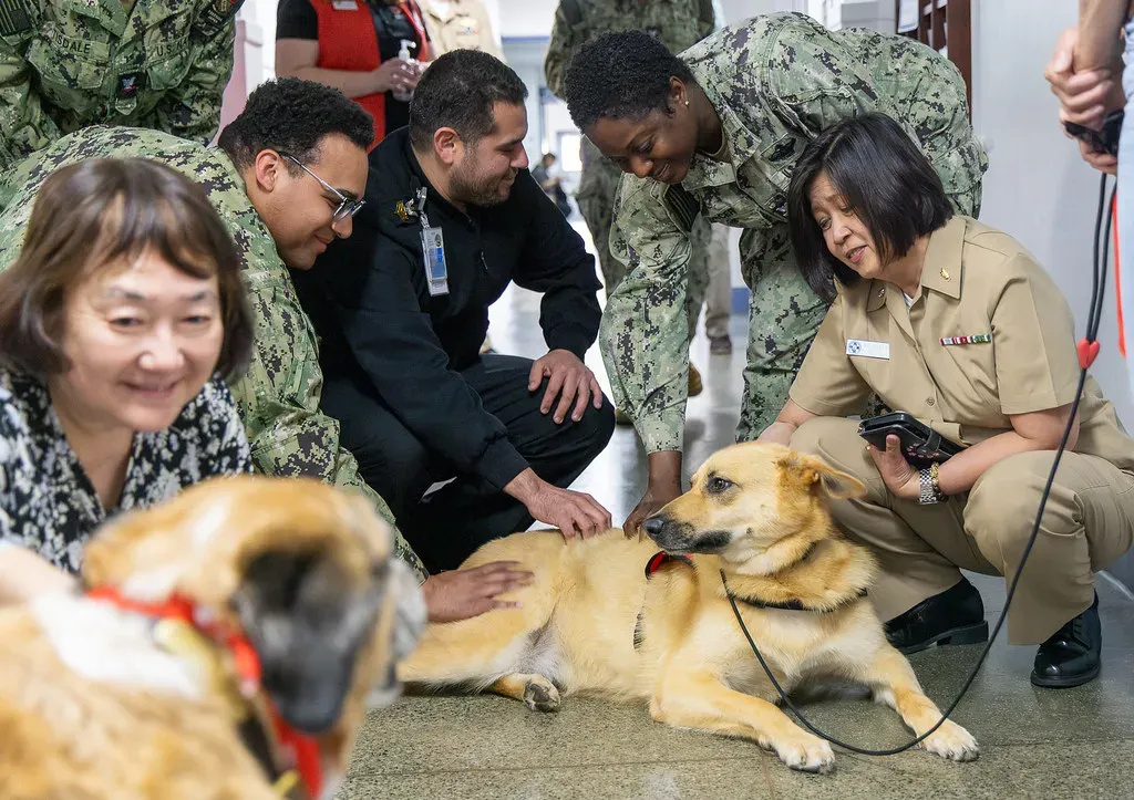 Know When to Step In and When to Step Back (Image Credits: Flickr)