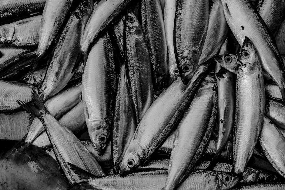 4. Herring: The Underrated Everyday Fish (Image Credits: Pexels)