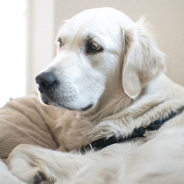 Creating Safe Spaces That Encourage Natural Behavior (Image Credits: Flickr)