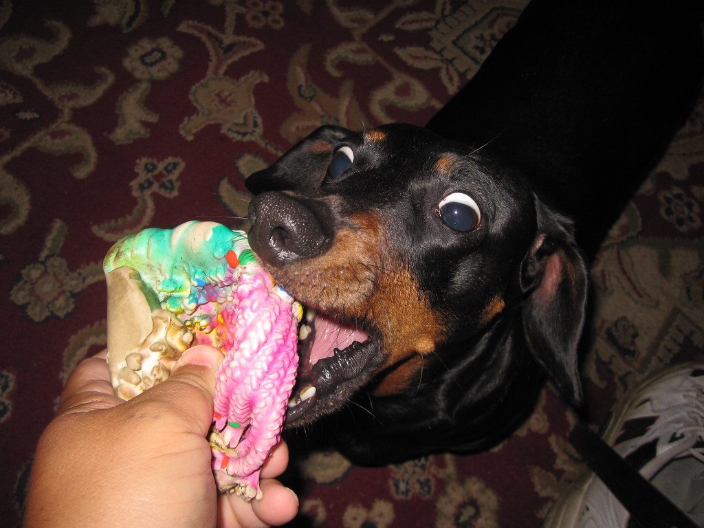 A Burst of Uncontainable Excitement (Image Credits: Flickr)