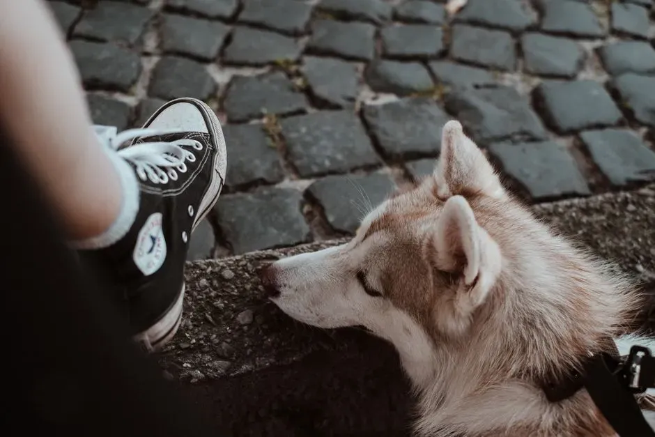Respecting Personal Space (Image Credits: Pexels)