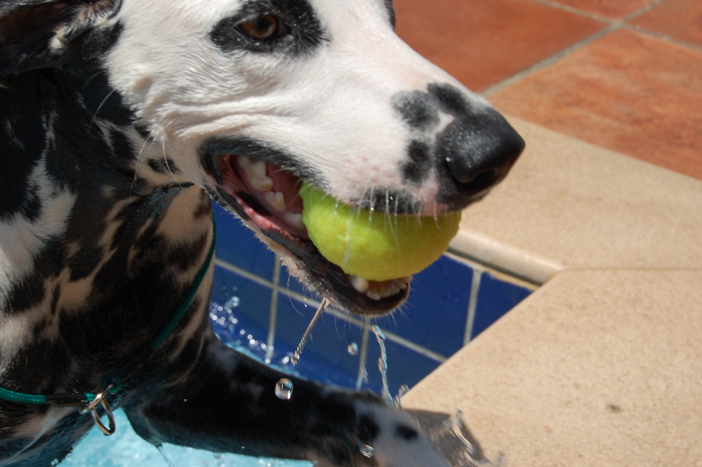 The Positive Alternatives That Actually Work (Image Credits: Flickr)