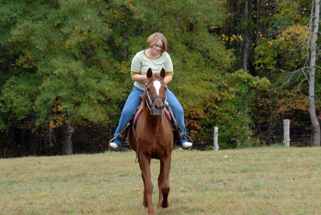 No Stereotypic Behaviors Present (Image Credits: Flickr)