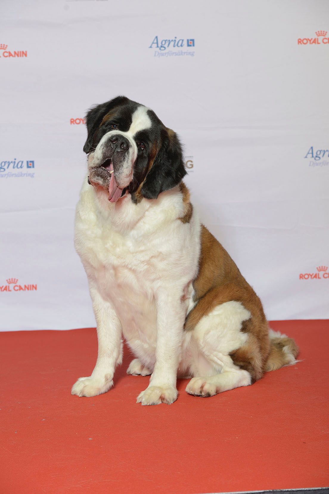 The Intelligence Connection (Image Credits: Wikimedia)