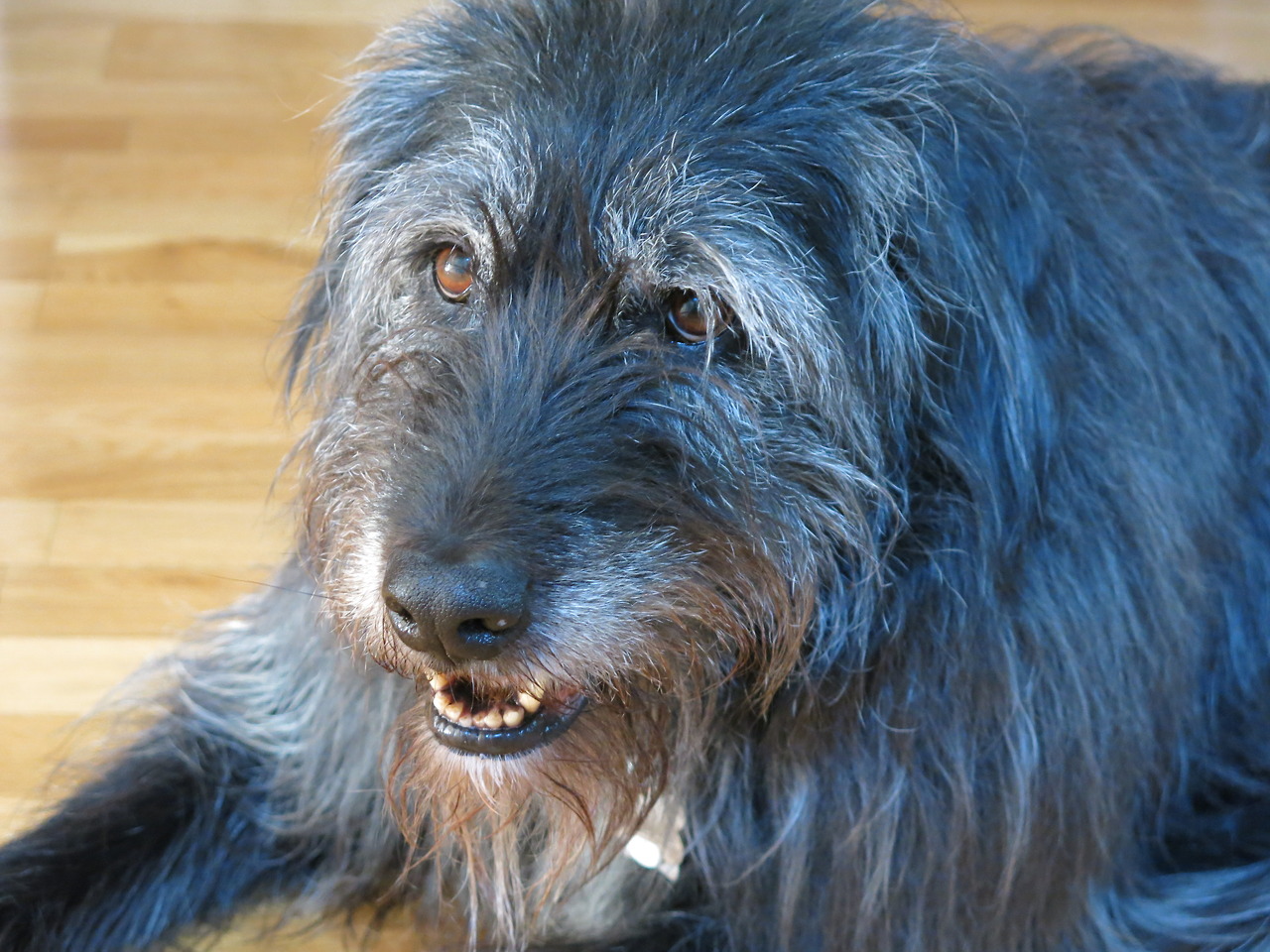 Gemini Growth: The Contemplative Communicator (Image Credits: Wikimedia)