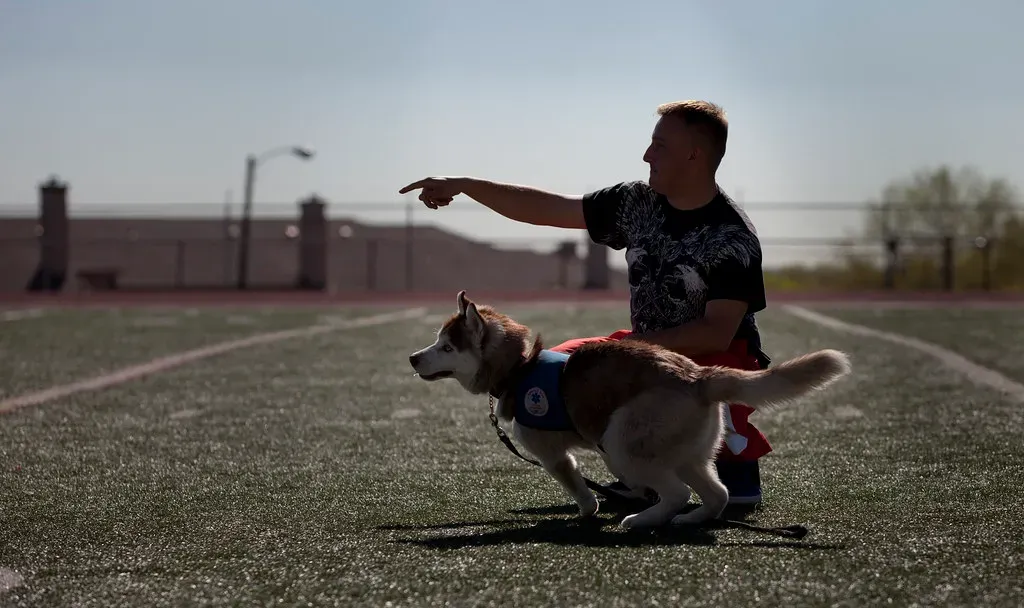 10. Testing Rules Constantly to See What Sticks (Image Credits: Flickr)