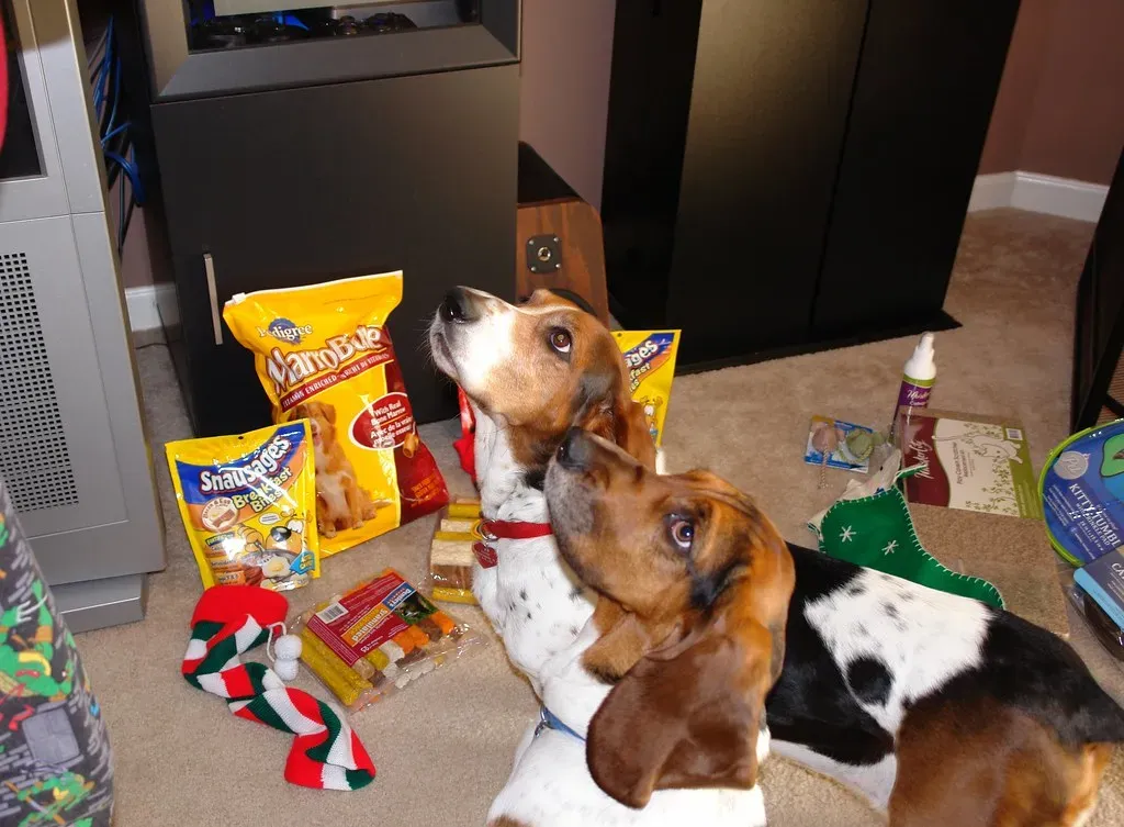 12. Learning Your Routine Better Than You Know It Yourself (Image Credits: Flickr)