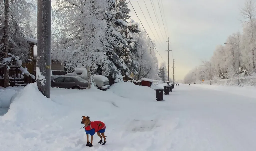 Conclusion: Adventure Awaits, Prepared (Wonderlane, Flickr, CC BY 2.0)