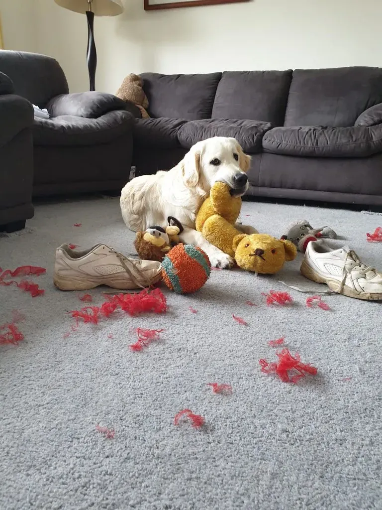 The Language of Destruction (Image Credits: Flickr)