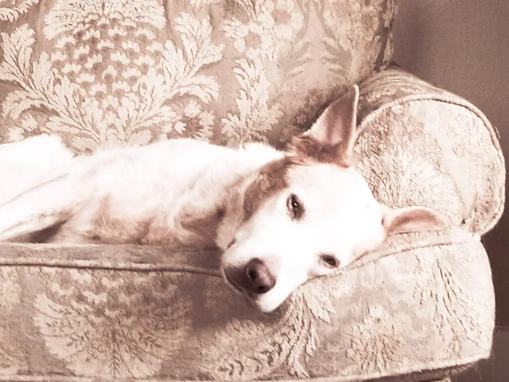 Conclusion (Image Credits: Flickr)