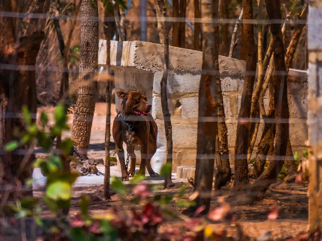 Introduction (Image Credits: Unsplash)