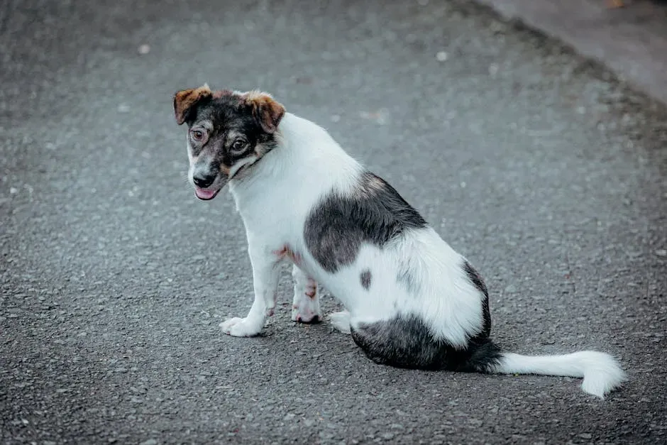 Lower Back (Image Credits: Pexels)