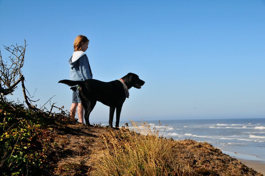 Working Breeds and Human Responsiveness (Image Credits: Wikimedia)