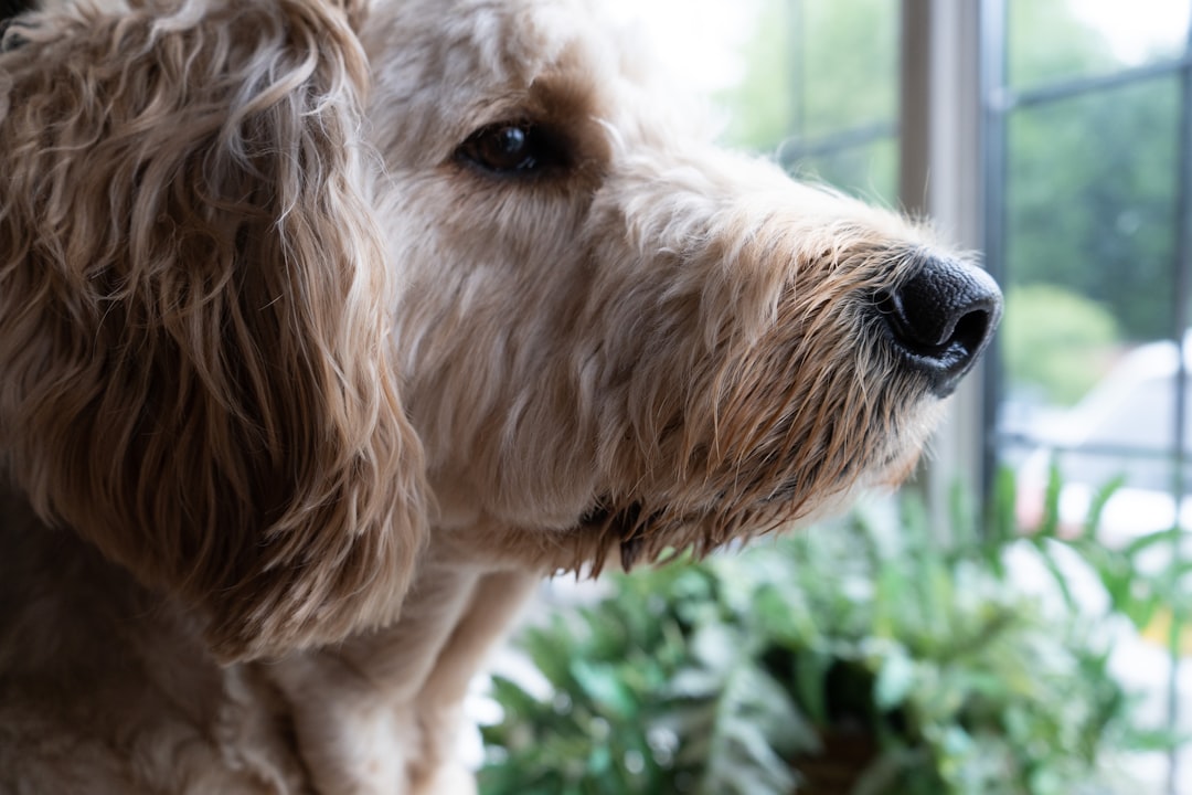 The Ancient Survival Instinct (Image Credits: Unsplash)