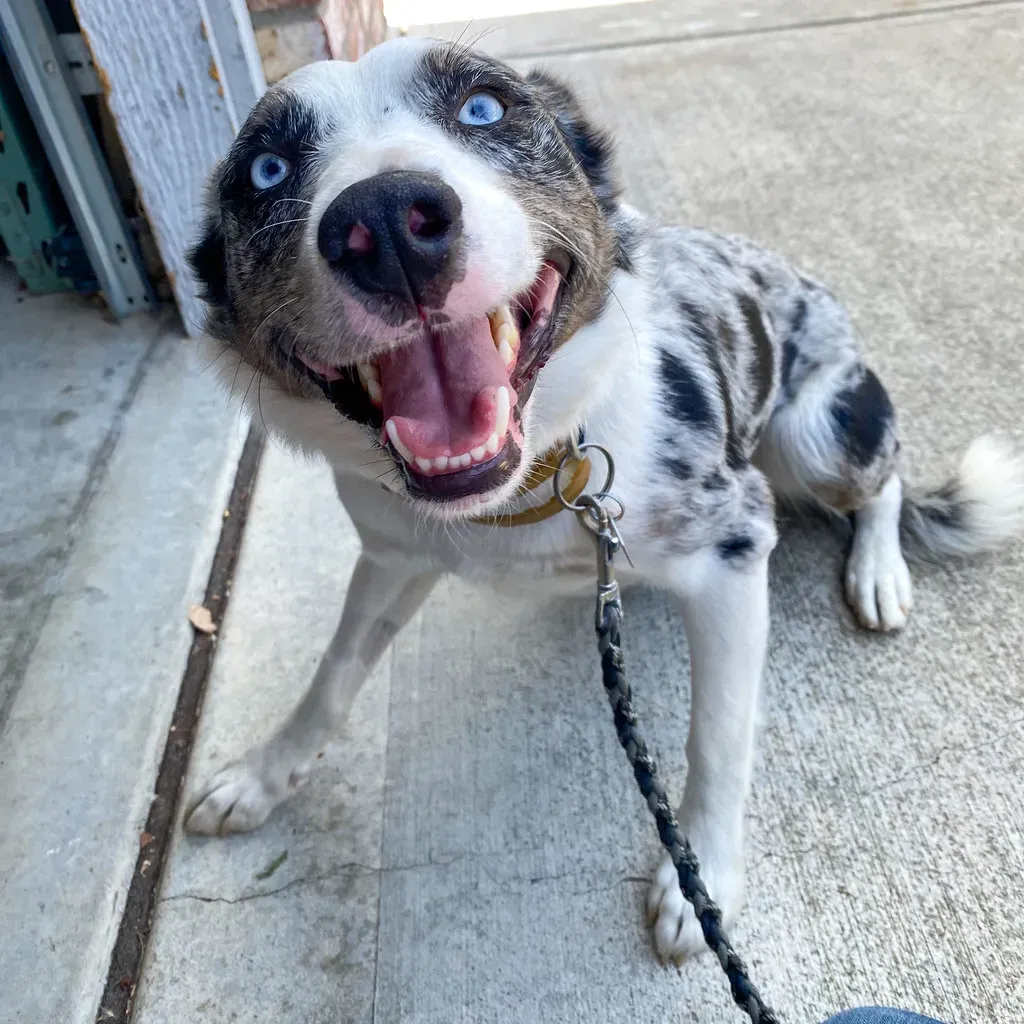 Start Close to Home - Your Neighborhood Is Your First Lead (beltz6, Flickr, CC BY 2.0)