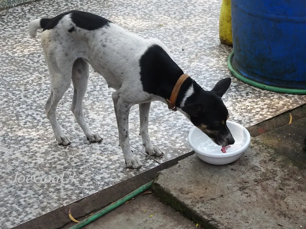 Conclusion (Image Credits: Flickr)