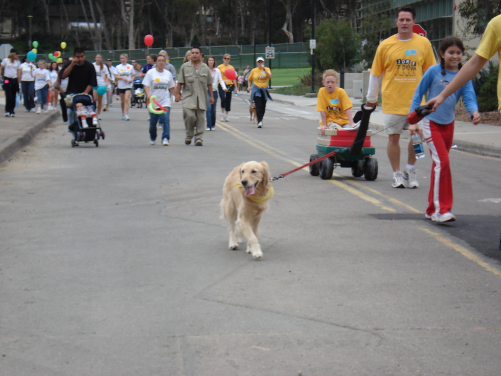 Your Social Life Expands Naturally (Image Credits: Flickr)