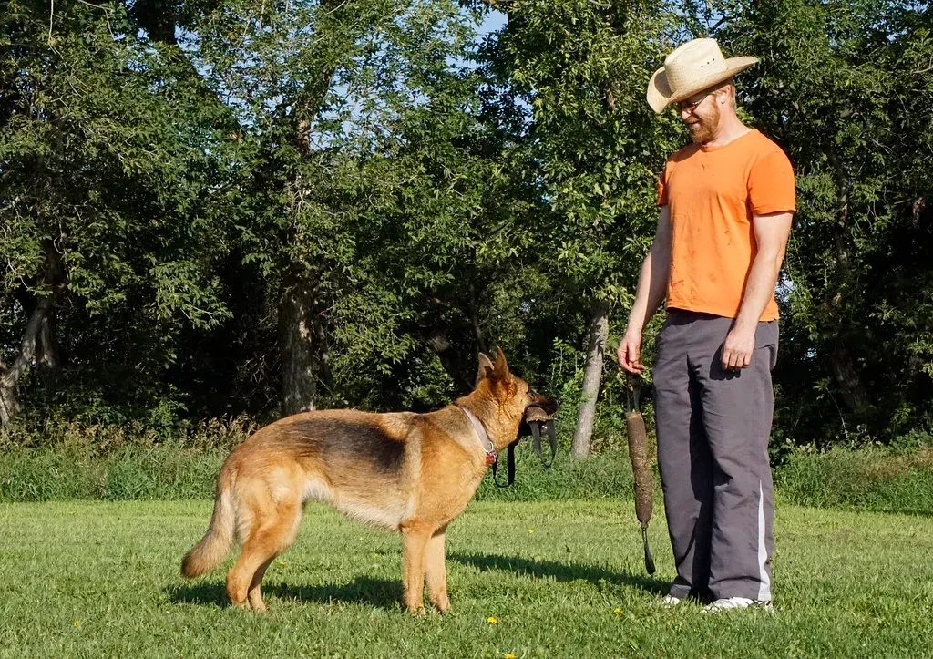 They Bring You Their Favorite Toys (Image Credits: Flickr)