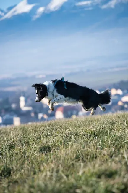 Hyperactivity or Erratic Movement (Image Credits: Pexels)