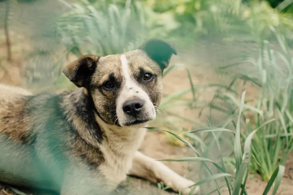 Environmental Factors: Responding to Subtle Changes (Image Credits: Rawpixel)