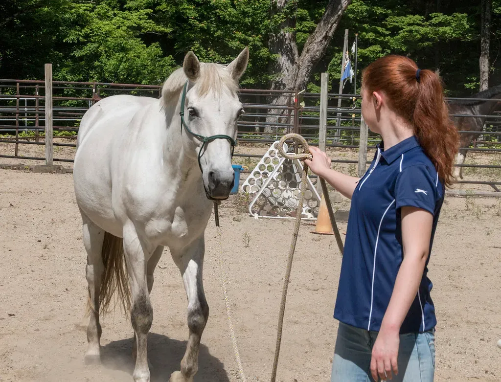 Your Body Language Speaks Louder Than Words (Image Credits: Flickr)