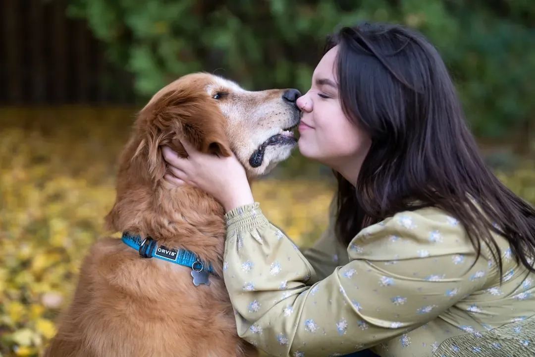 Golden Retriever: The Eternal Optimist Who Softens Into a Living Hug (Image Credits: Unsplash)