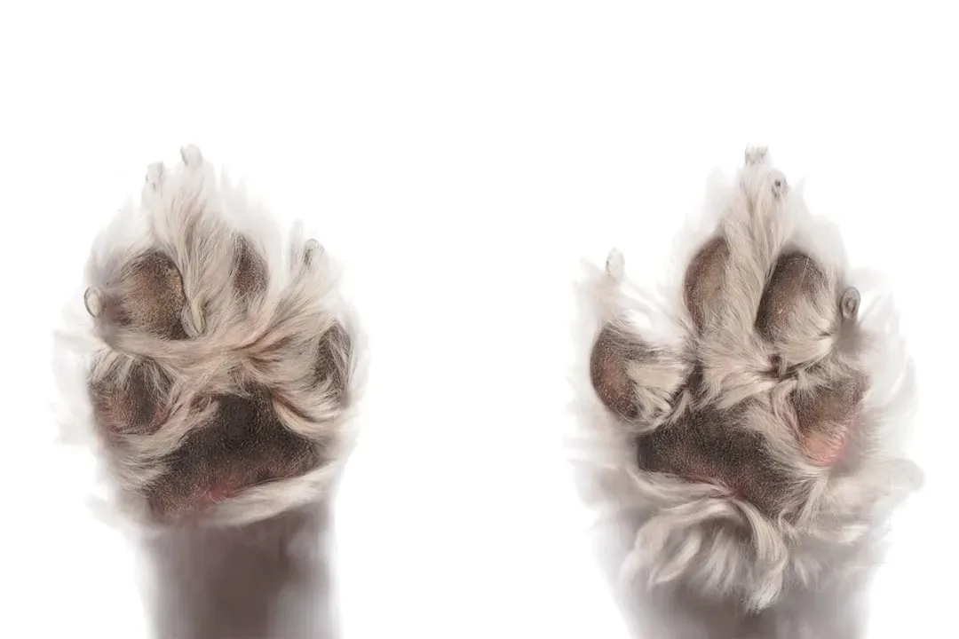 Conclusion: Look Down More Often (Image Credits: Unsplash)