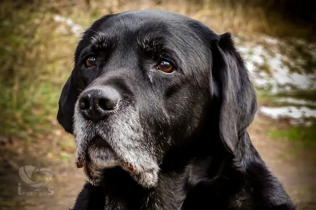 Conclusion (Image Credits: Flickr)