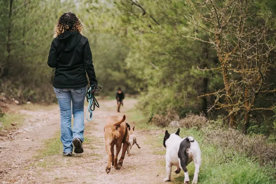 10. Encouragement of Outdoor Activities (Image Credits: Pexels)