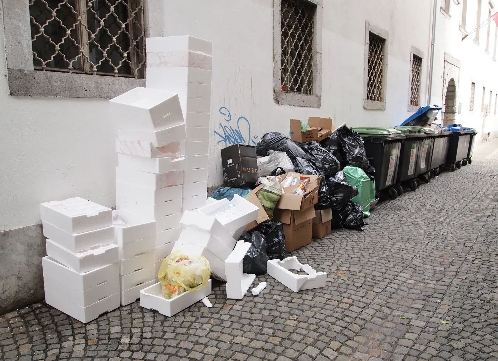 Mountains of Trash and Food Sources Everywhere (Image Credits: Wikimedia)