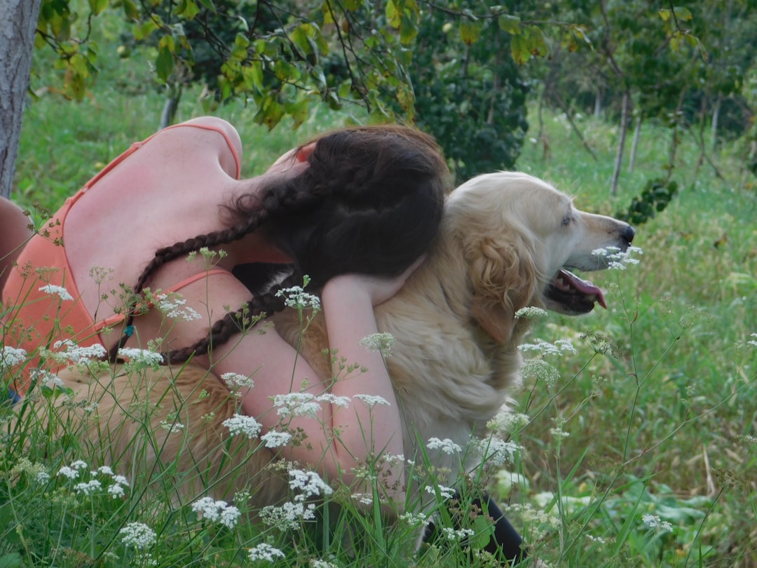 How Dogs Respond to Human Crying (Image Credits: Unsplash)