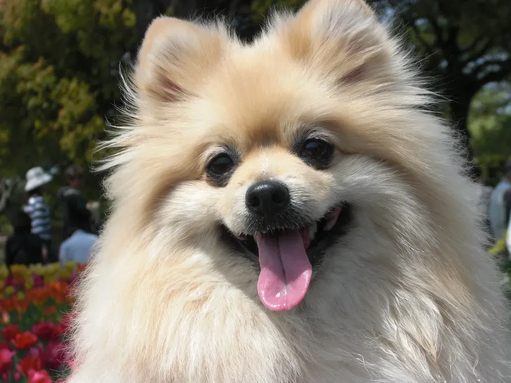 Conclusion: Embracing the Challenge (Image Credits: Flickr)