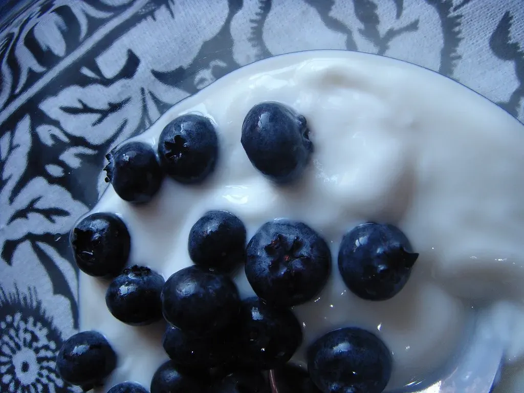 Why Blueberries Deserve the Spotlight (Image Credits: Flickr)