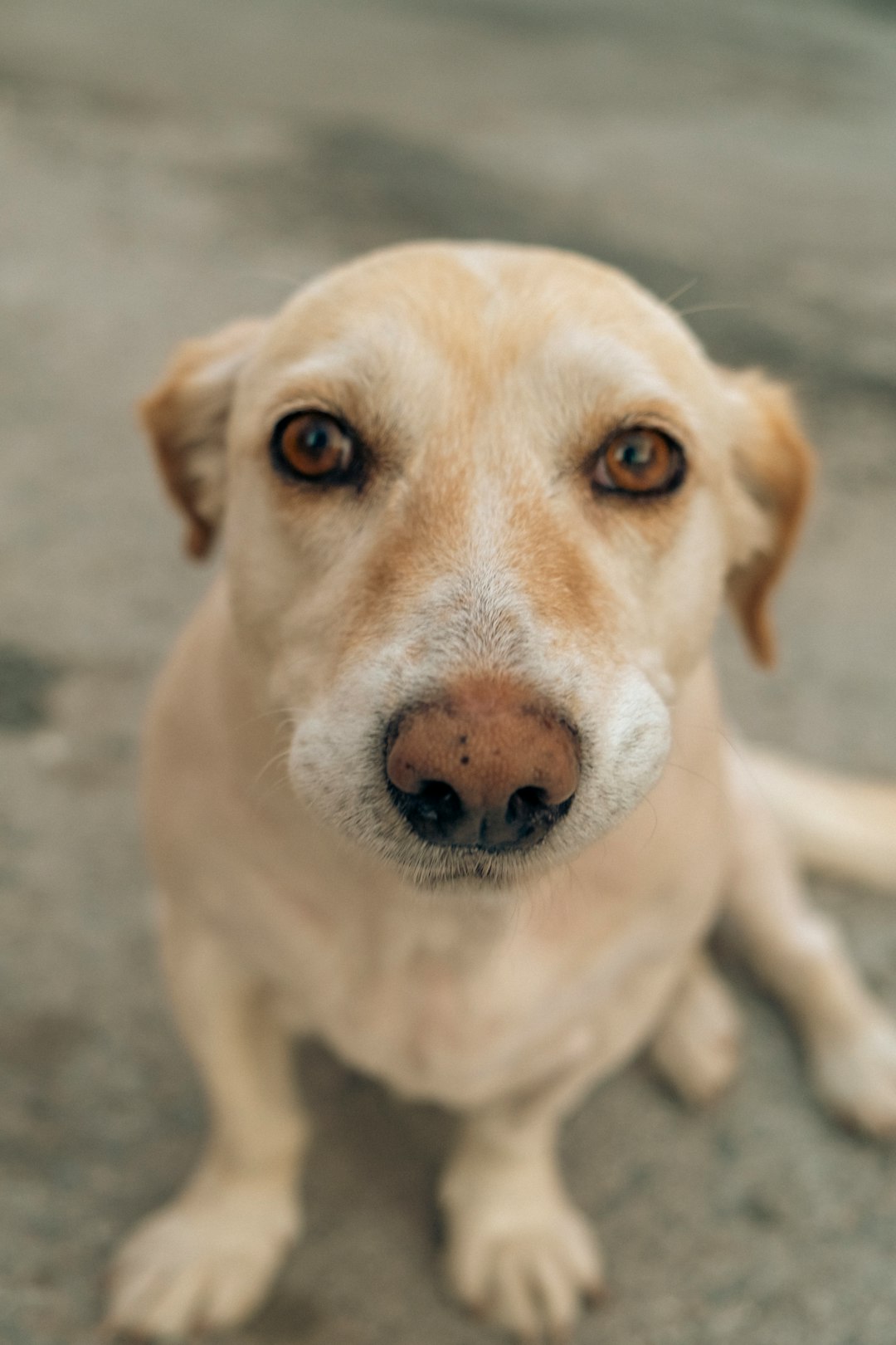 Those Long, Loving Gazes That Stop Time (Image Credits: Unsplash)