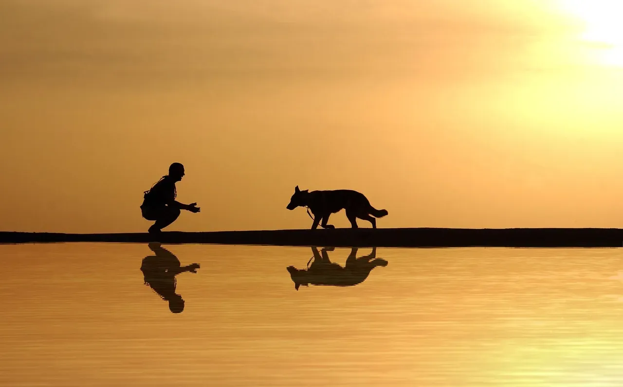 #17 - The Pre-Departure Shadowing (and Your Packing Routine) (Image Credits: Pixabay)